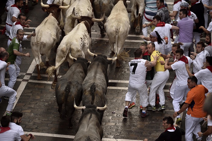 Bull makes quick stop at the bank during Spain bull run 